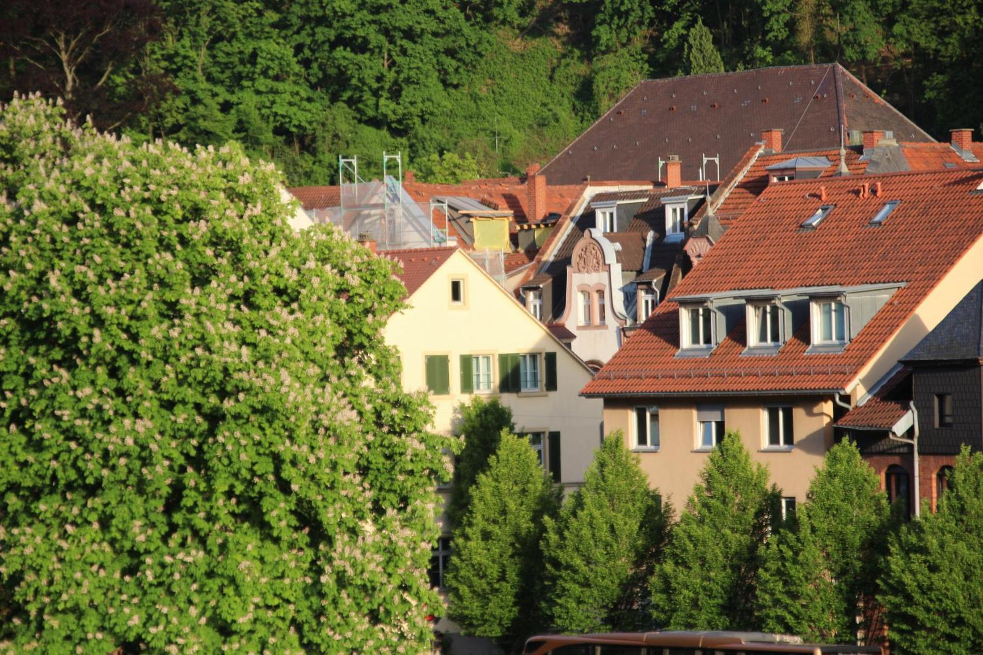 Hotel Zur Alten Brücke Heidelberg Zimmer foto